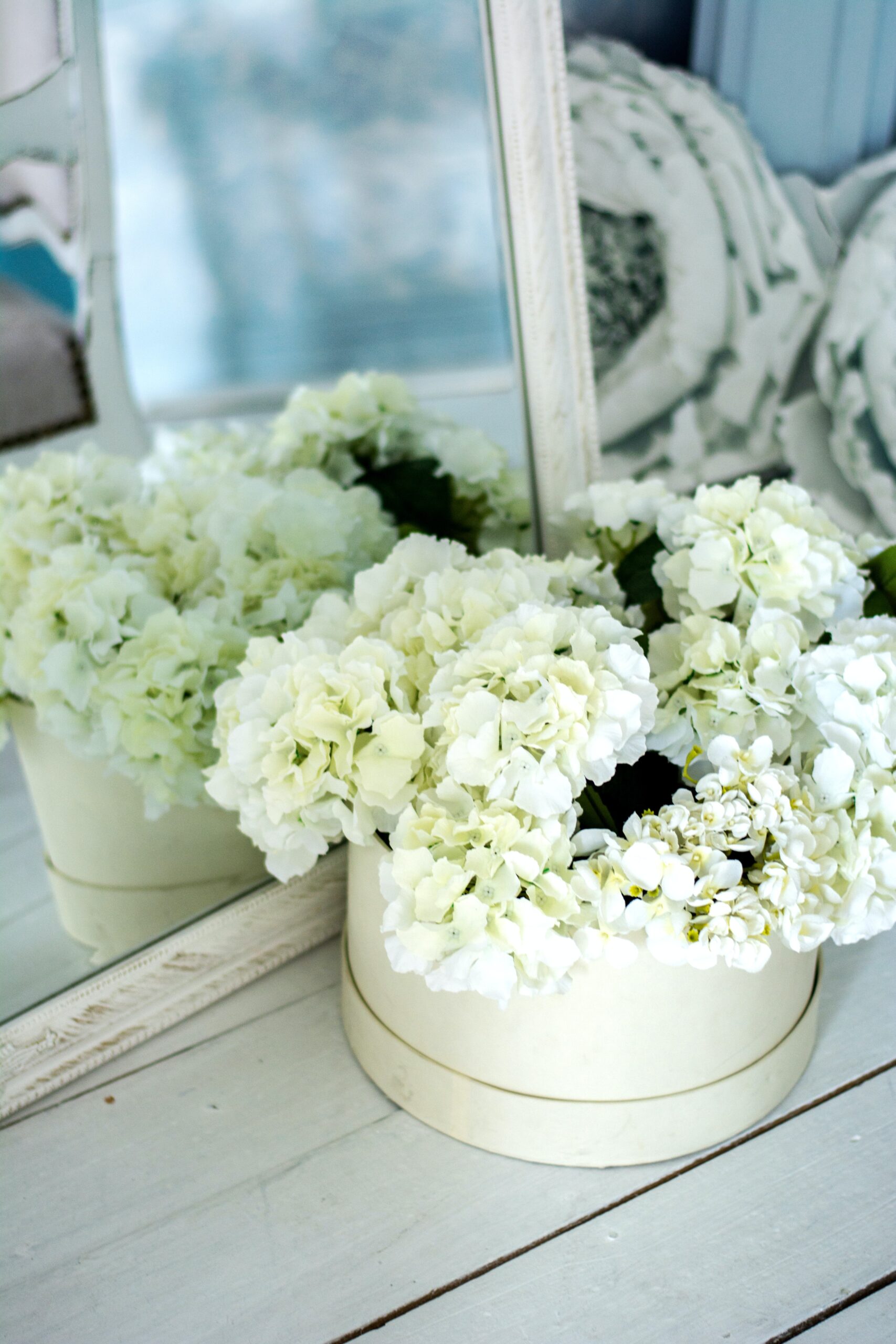 Flowers on a windowsill