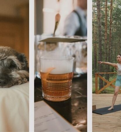 Organic Social Media Best Practices for 2026: